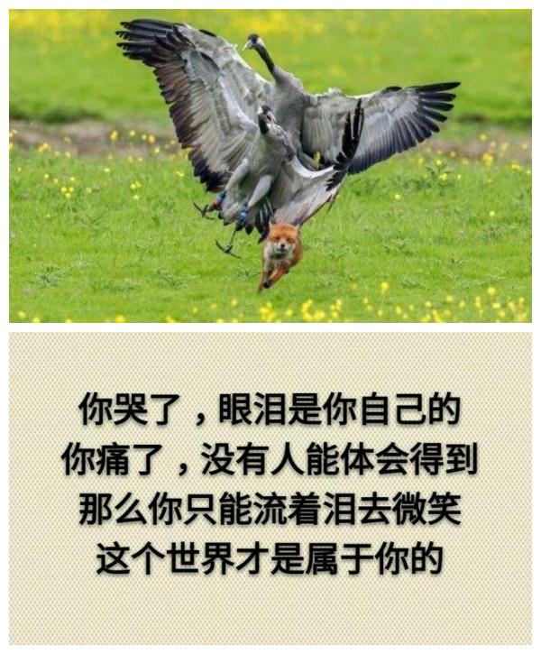 你累吗？（累就看看）