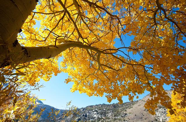 时时落叶纷纷秋彩满地 时时落叶纷纷秋彩满地
