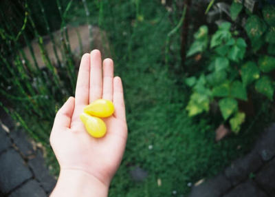 文字控微博说说语录,句句打动人心 文字控微博说说语录,句句打动人心