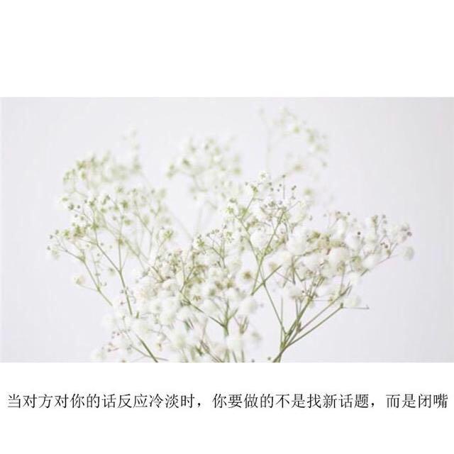 这组微信朋友圈经典语录要火了