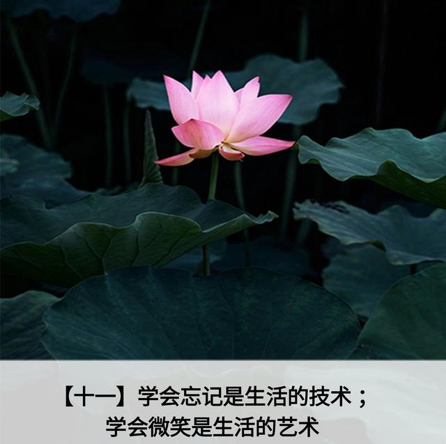 人生应该谨记的金言