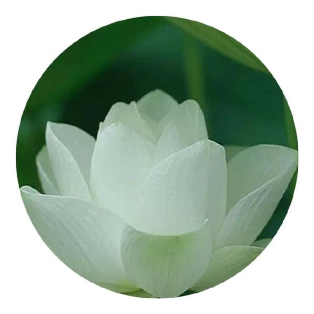人生两境界：知道与知足