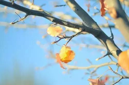 清 醒（写的真好）
