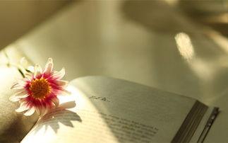 成功始于决心，能上架更要学会下架