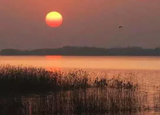 静，是心灵最美的陪伴