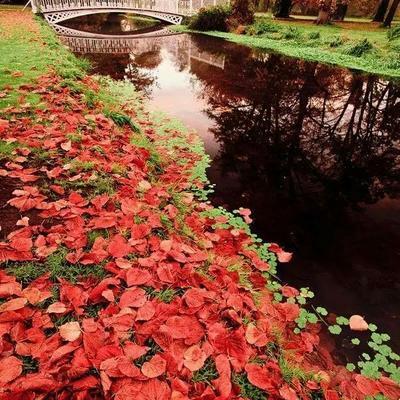 人生,简单一点好 人生,简单一点好