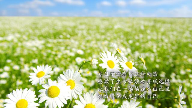 无论做什么，记得那是为自己而做