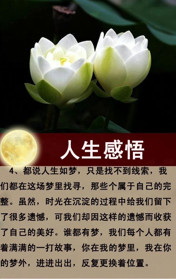 每天一点正能量，感悟生命，感谢生活