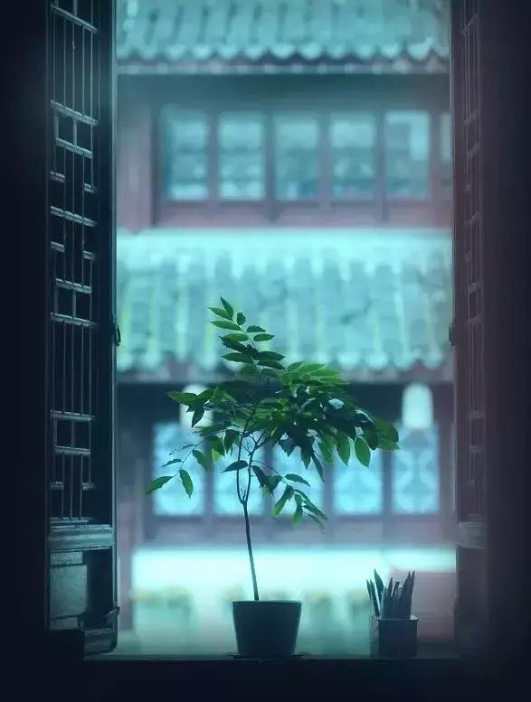 岁月温柔，生命厚重