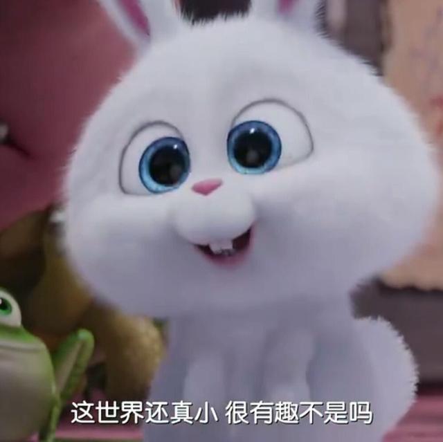 经典搞笑语录，这鸡汤有毒