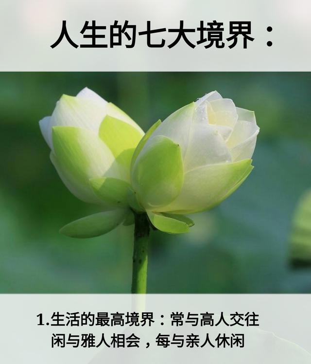 人生：7层次，7道坎，7恩人，7觉悟，7境界
