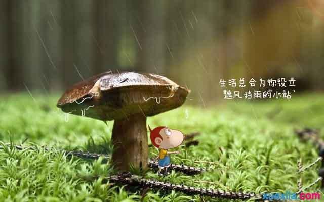 生活，随心便好