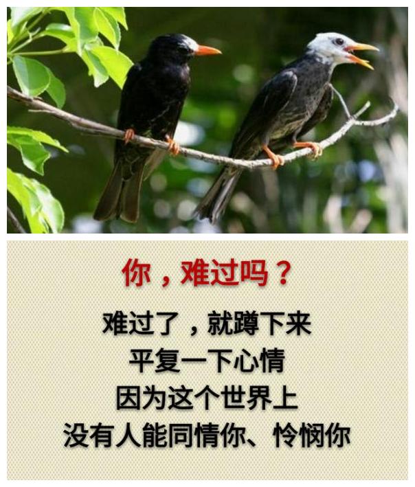 你累吗？（累就看看）