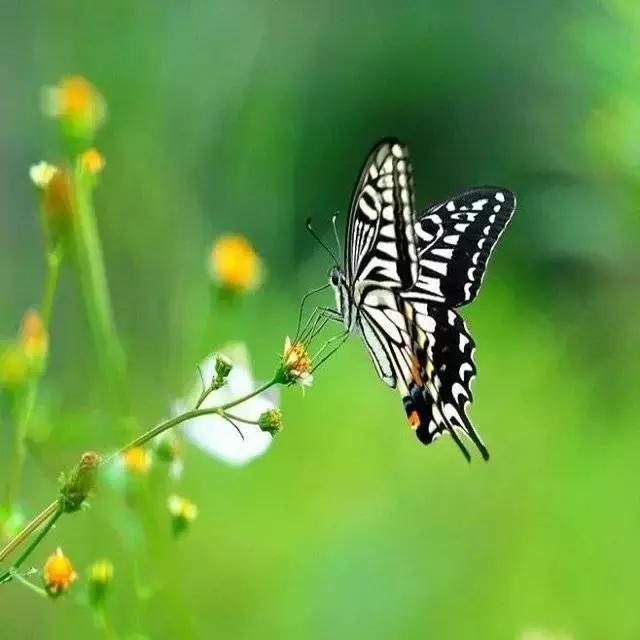 人生六不动 人生六不动