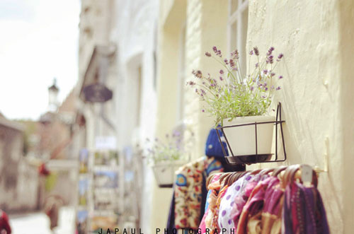 奋斗的火苗在冒发,碰触那心的温度 奋斗的火苗在冒发,碰触那心的温度