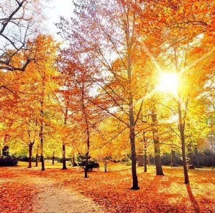 信任就像一张纸，皱了，即使抚平，也恢复不了原样了