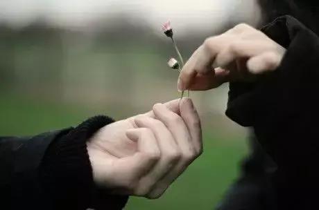 愿你能遇见那个人