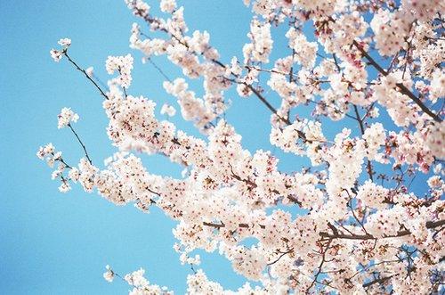 朋友圈最能治愈心灵的鸡汤语录 朋友圈最能治愈心灵的鸡汤语录