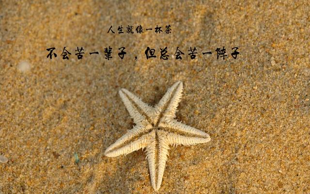 用真诚的简单，对付虚伪的复杂