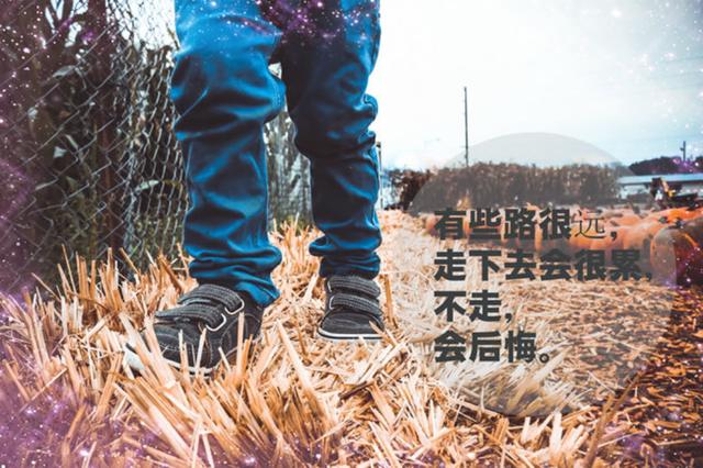生命太短，日子太忙
