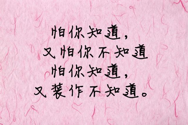 每次的相遇，都是我故意靠近
