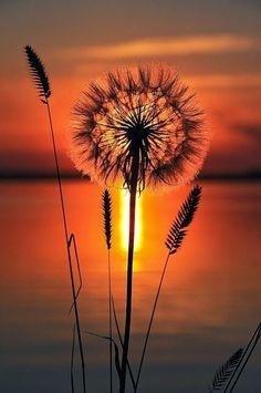 冯骥才：择一城终老，遇一人白首