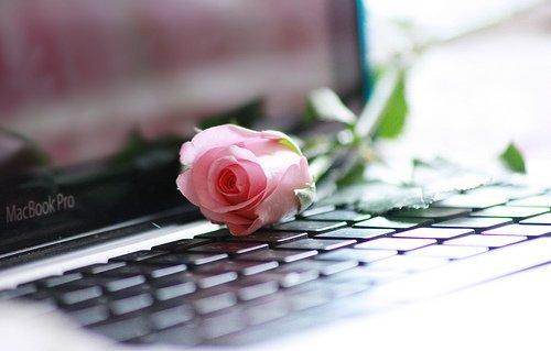 人生感悟:因为无能为力,所以顺其自然 人生感悟:因为无能为力,所以顺其自然