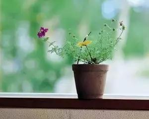 为人处事，记住六句话