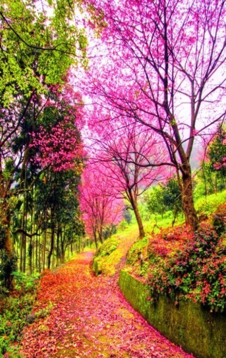 朋友圈唯美忧伤的心情说说语录 朋友圈唯美忧伤的心情说说语录