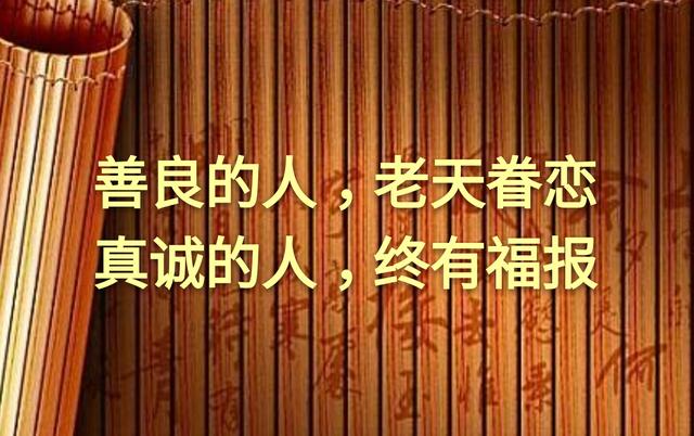 别总是欺负老实人