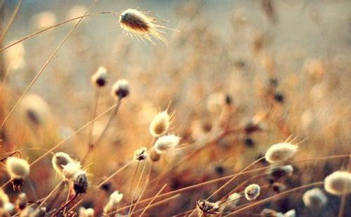 人生感悟,能量满满,推荐给您 人生感悟,能量满满,推荐给您