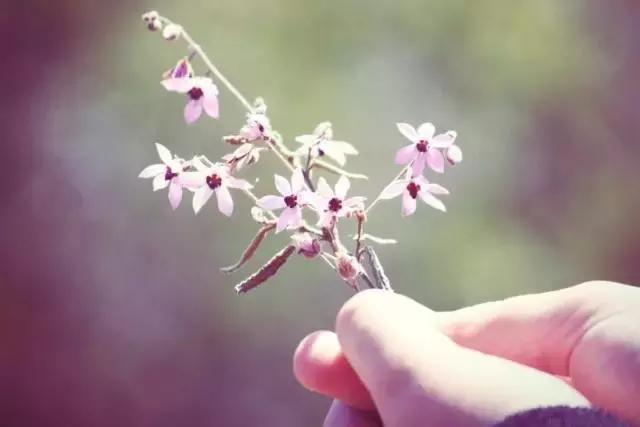 人生，原本就没有相欠