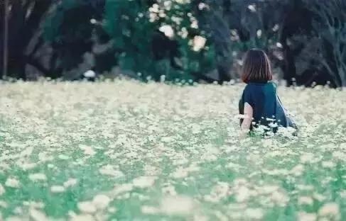 所有的相逢，都是命中注定