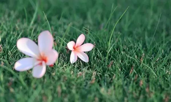 明天开始,善待身边每一个人 明天开始,善待身边每一个人