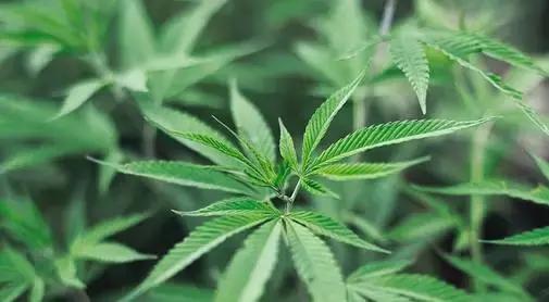 别人骂你，你别听！别人帮你，要铭记