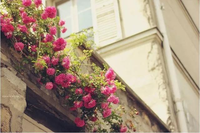 我们站着不说话，就十分美好