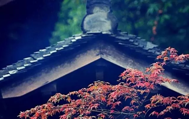 仓央嘉措：今生，我为寻你而来