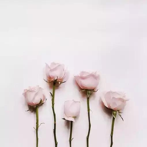 最令人反感的四种话