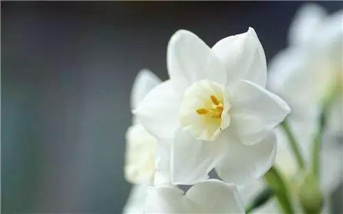 真正的放弃并不会张扬而是慢慢不联系 真正的放弃并不会张扬而是慢慢不联系