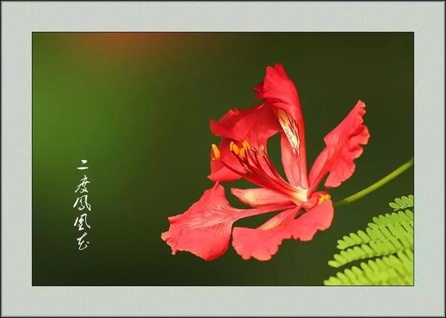 九月：但愿人长久