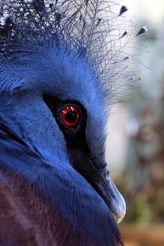 坦然面对人生的悲与欢