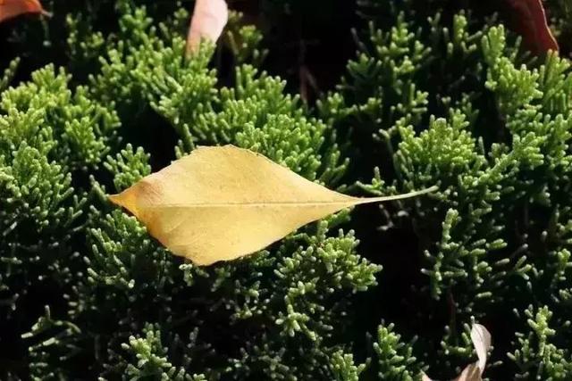时间赠人阅历，世事尽可原谅