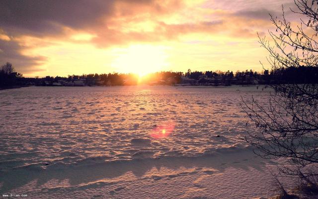 总要活出自己的样子 总要活出自己的样子