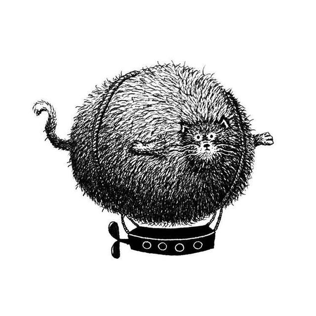 时尚的经典搞笑语录,所有人都知道了 时尚的经典搞笑语录,所有人都知道了