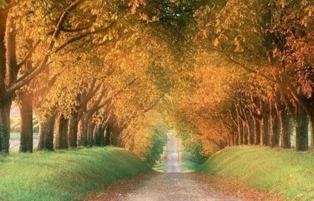 人生，有两条路要走