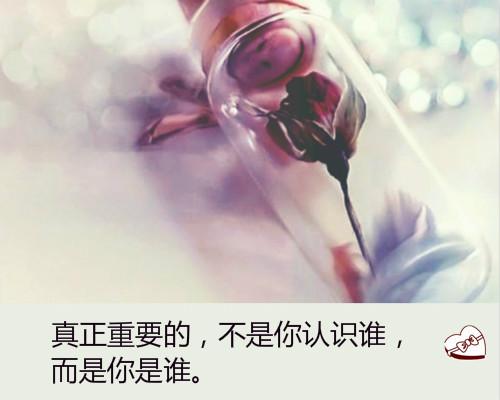 十二句励志能量句子