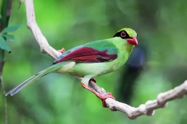 生命，只有这一次（经典）