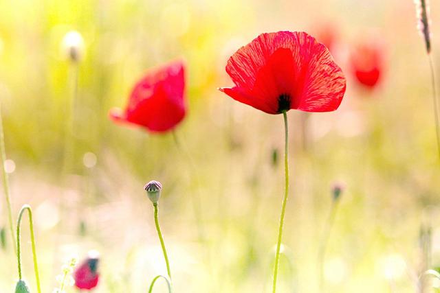 不想跌倒的最好办法