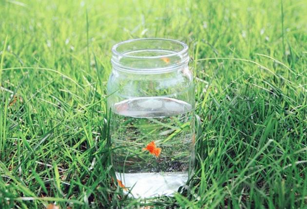 这辈子，你该坚持什么呢？