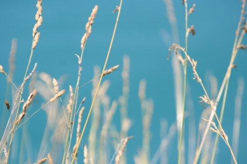 人生感悟:因为无能为力,所以顺其自然 人生感悟:因为无能为力,所以顺其自然